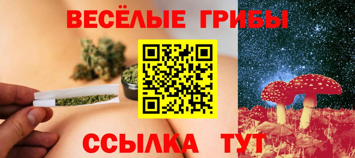 Галлюциногенные грибы MAGIC MUSHROOMS  Вход с VPN  Кирово-Чепецк  Галлюциногенные грибы MAGIC MUSHROOMS 